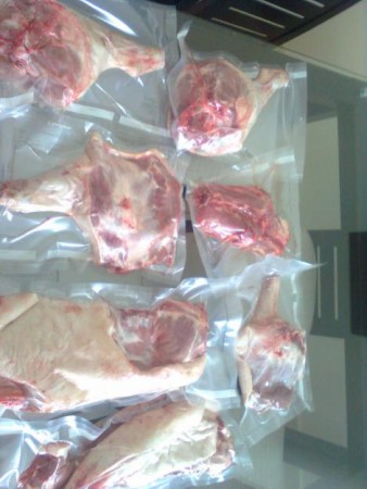 Costillas,Paleta de Jabalí